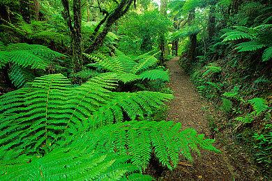 模拟经营游戏《地产经纪模拟器》Steam页面上线 支持简中